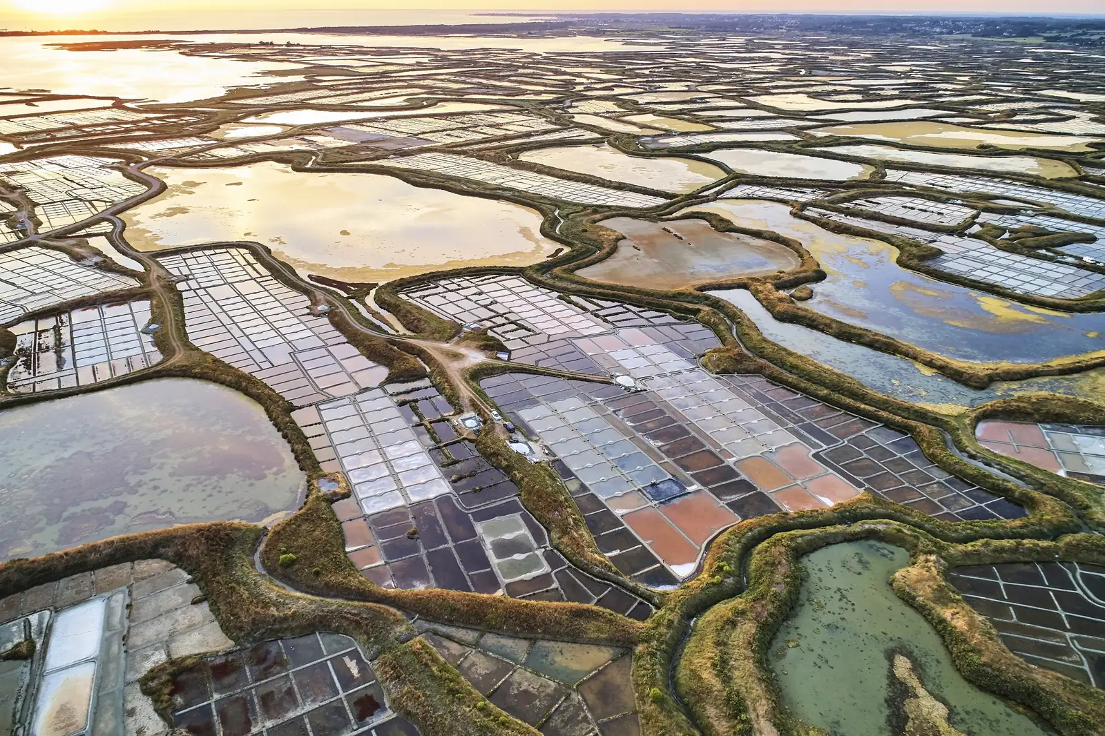 Les marais salants de Guérande au coucher du soleil — VTC et chauffeur privé Breizh Atlantique